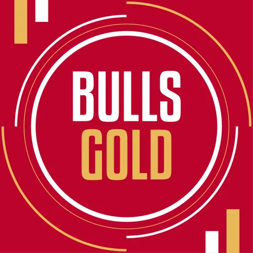 Bulls Gold Artwork
