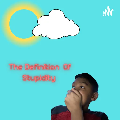 The Definition Of Stupidity Artwork