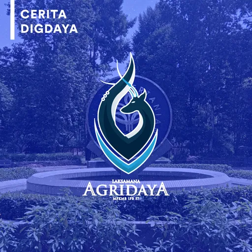 Cerita Digdaya Artwork