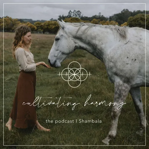Cultivating Harmony Artwork