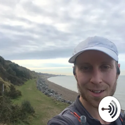 The Bay Running Show Artwork