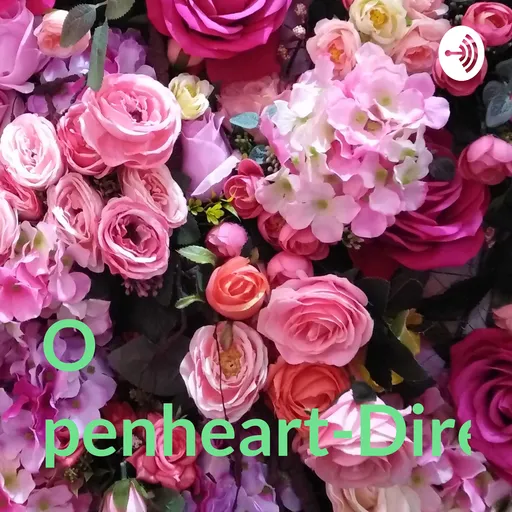 Openheart-Directdilse Artwork