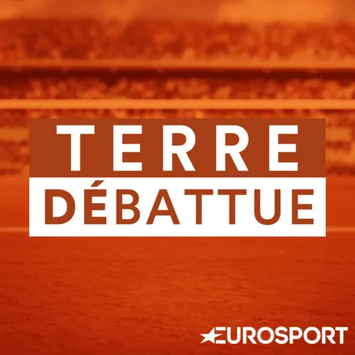 Terre Débattue Artwork