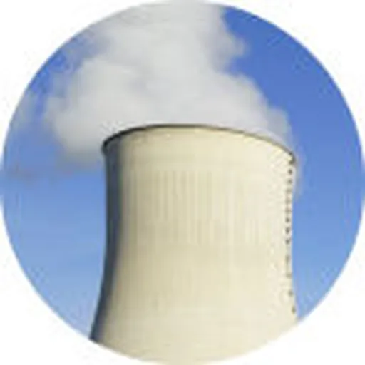 Homo nuclearus Artwork