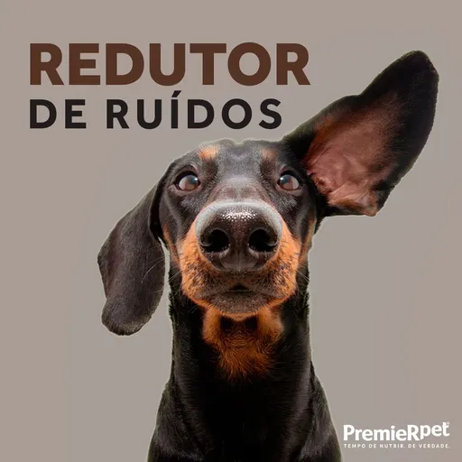 Redutor de Ruídos para Cães e Gatos Artwork