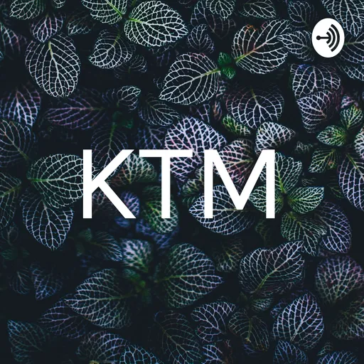 KTM Artwork