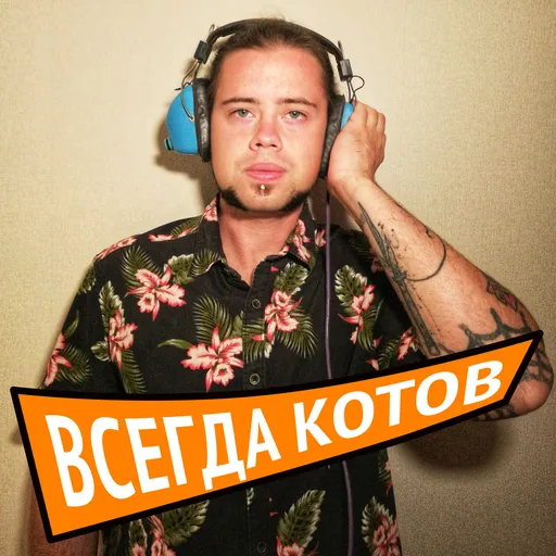 Всегда котов! Artwork
