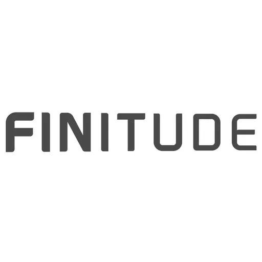Finitude Artwork