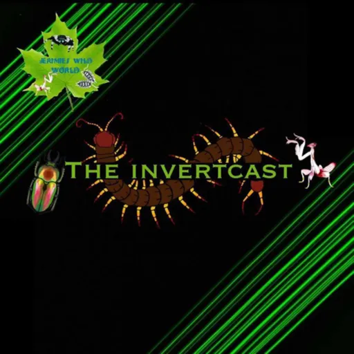 The Invertcast Artwork