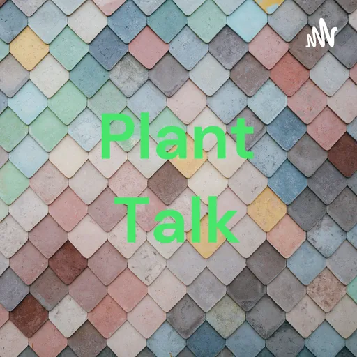 Plant Talk Artwork