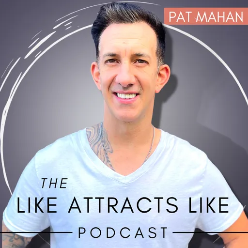 The Like Attracts Like Podcast Artwork