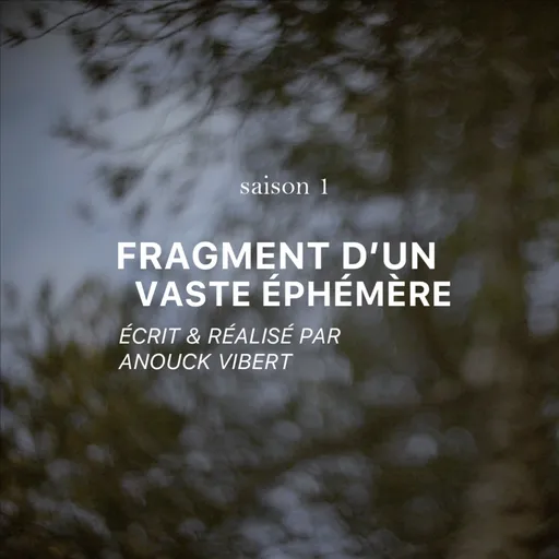 FRAGMENT D'UN VASTE ÉPHÉMÈRE Artwork