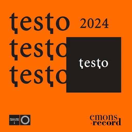 TESTO 2024 – come si diventa un libro Artwork