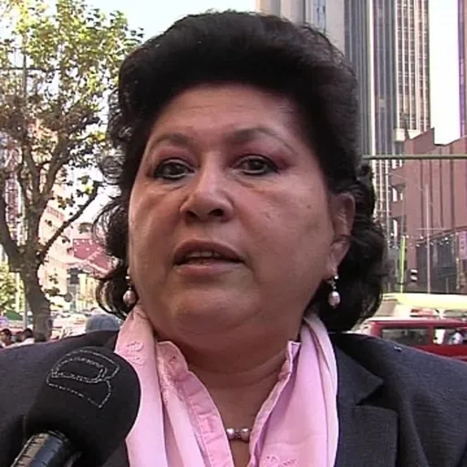 La reelección presidencial no forma parte de la agenda del MAS, dice diputada Sonia Brito Artwork