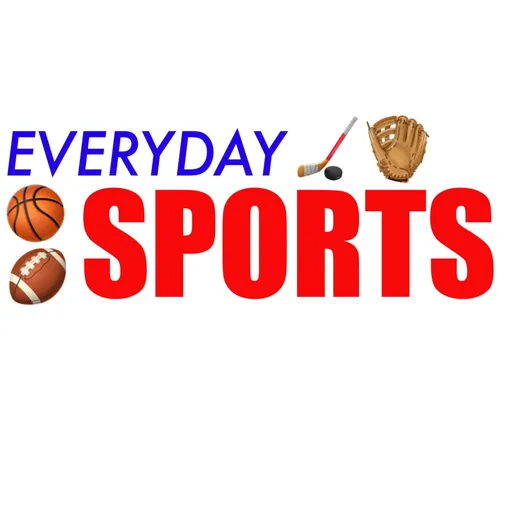 Everyday Sports! Artwork