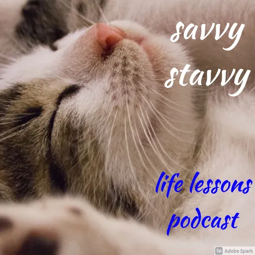 savvy stavvy - things that make you go hmmm... Artwork