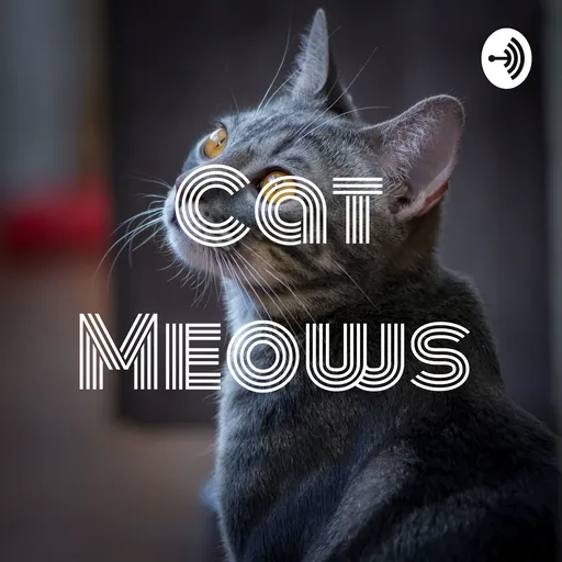 Cat Meows 😺 Artwork