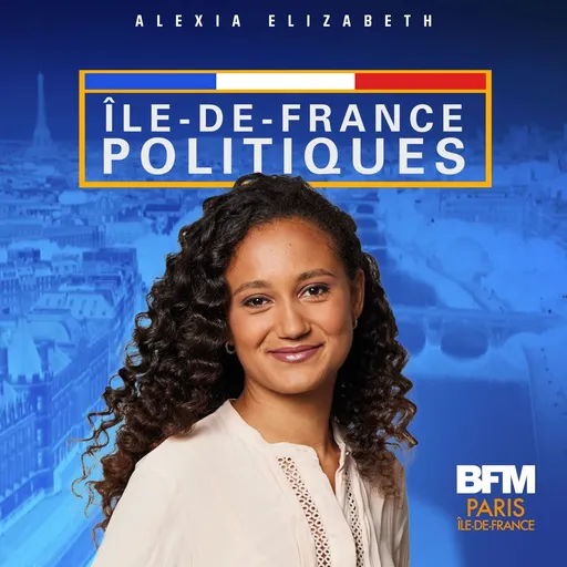 Ile-de-France Politiques Artwork