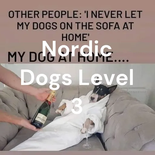 Nordic Dogs Level 3 Artwork