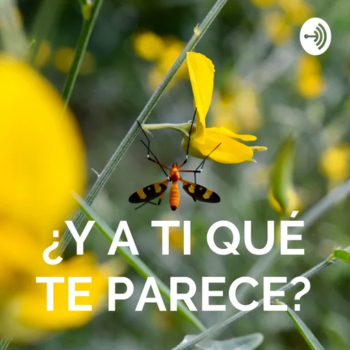 ¿Y A TI QUÉ TE PARECE? Artwork