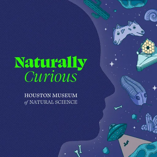 Naturally Curious Artwork