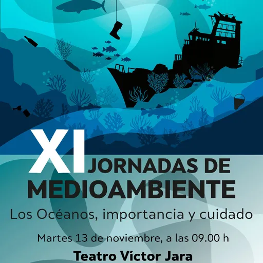 Entrevista a Airam Guerra, Sociedad Atlántica de Oceanógrafos. Artwork
