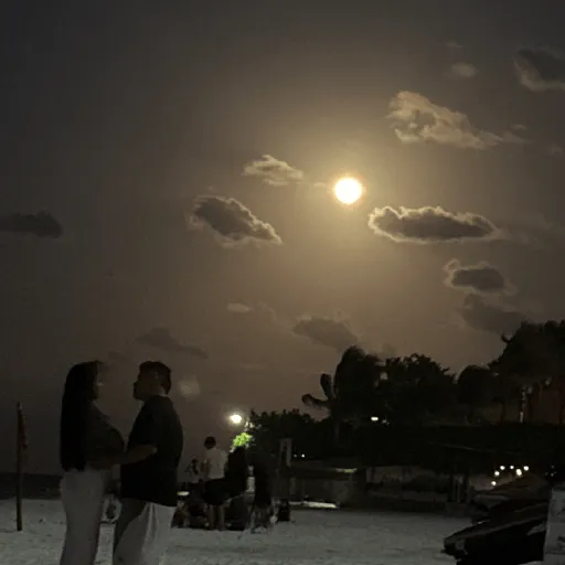 Episode Artwork
