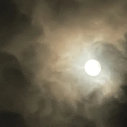 Episode Artwork