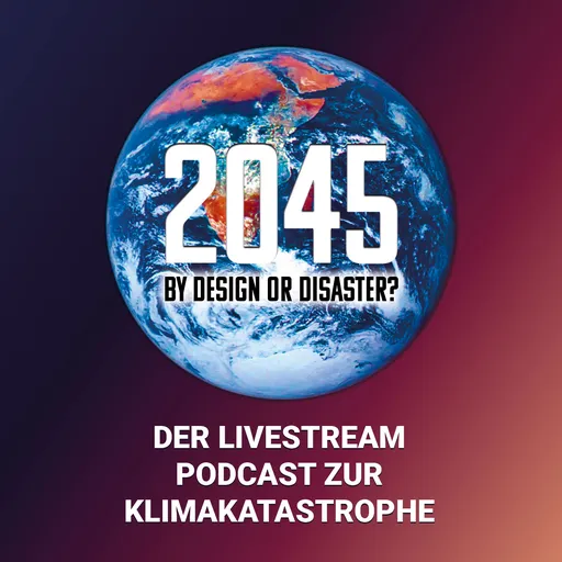 2045 by Design or Disaster Artwork