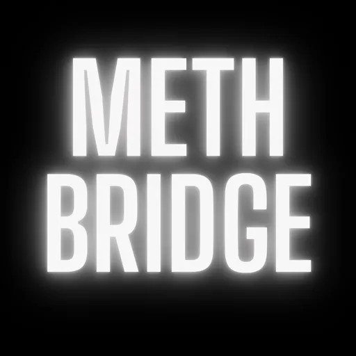 Depths of Methbridge Artwork