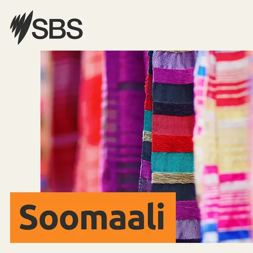 SBS Somali - SBS Afsomali Artwork