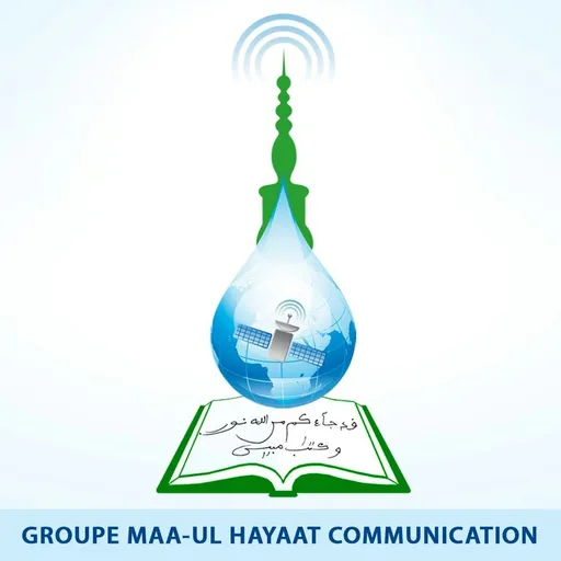 Maoulhayat Artwork