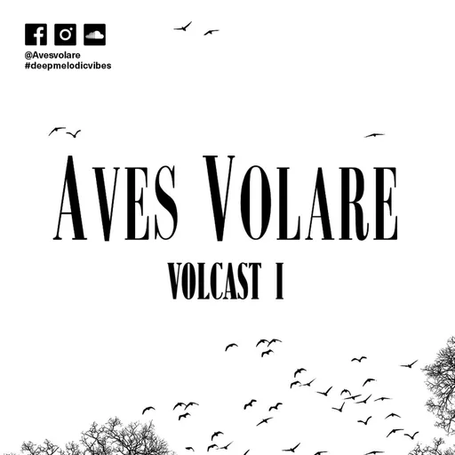 Volcast - Aves Volare's Podcast Artwork