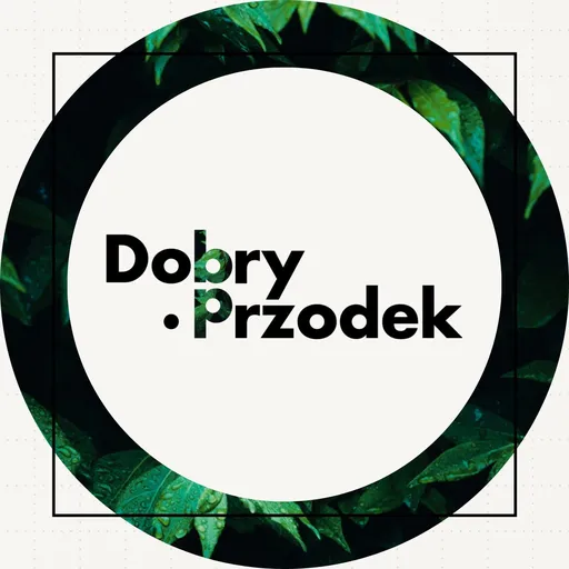 Dobry Przodek Artwork