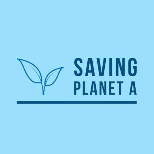 Saving Planet A Artwork
