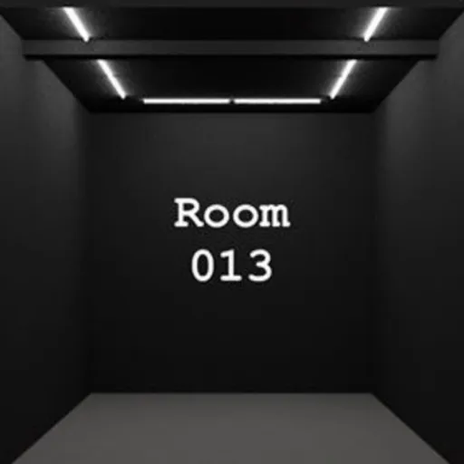 Room013 Artwork