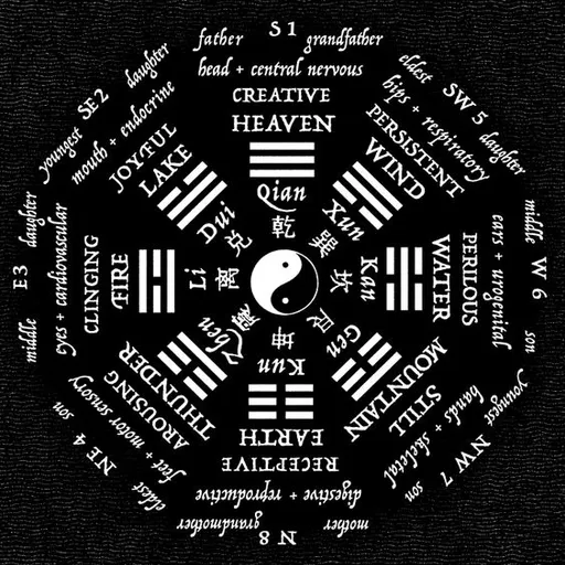 Episode Artwork