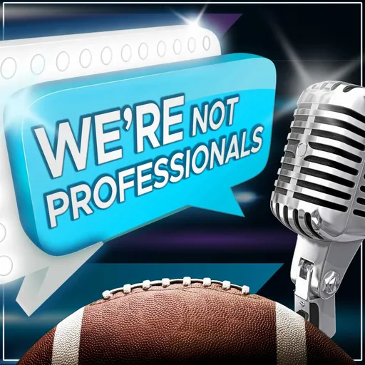 We're Not Professionals Artwork
