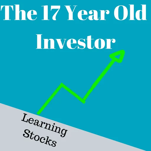17 Year Old Investor Artwork